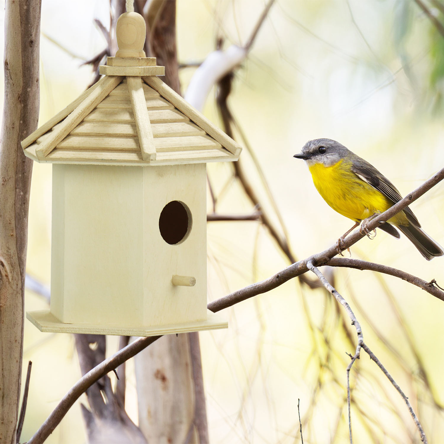 FSC&BSCI Bird House for Outside,Bluebird House,Outdoor Wooden Hanging Birdhouses Finch Wren Cardinals Garden Nesting Box